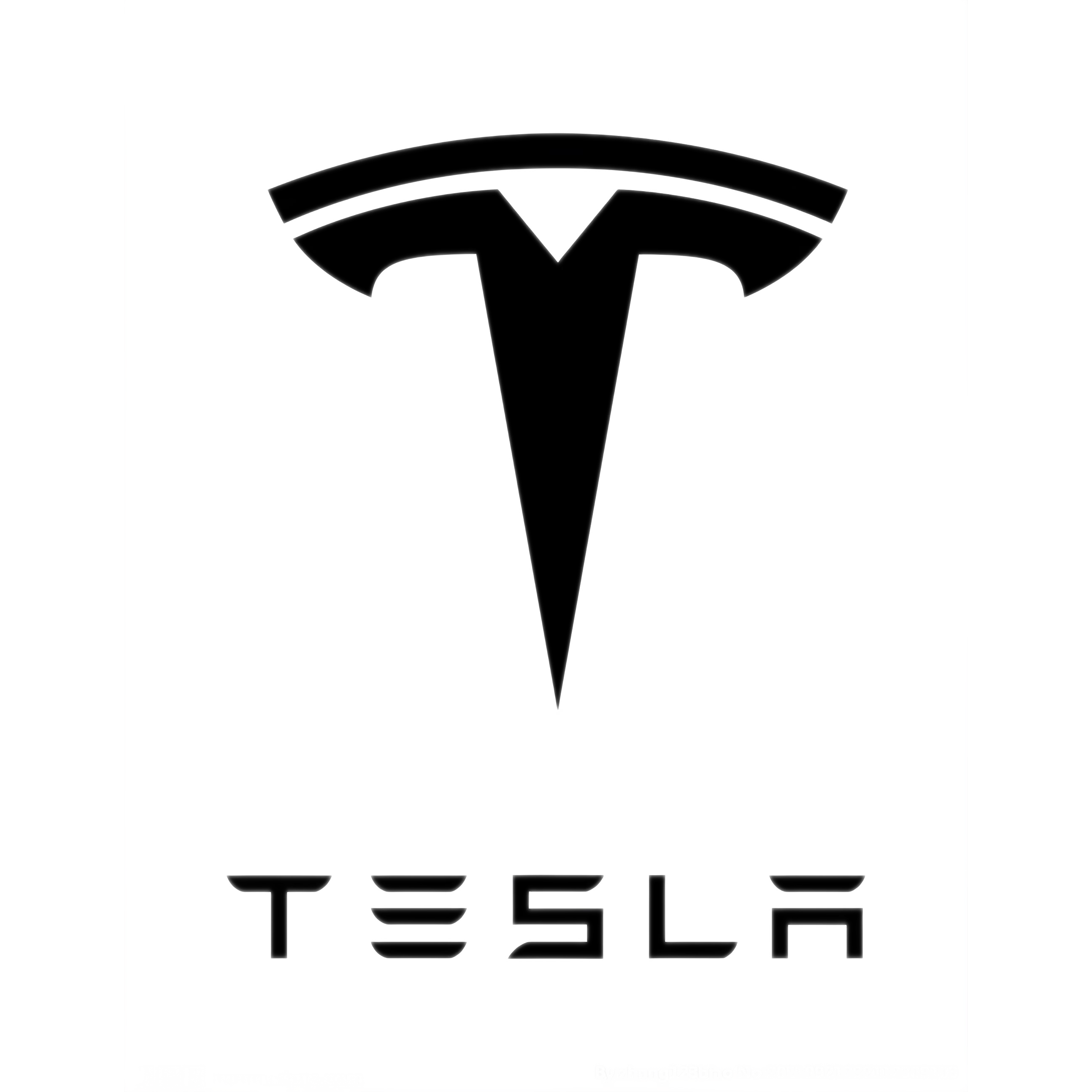 /TESLA/